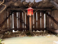 Preview: Krippe "grosser Stall"